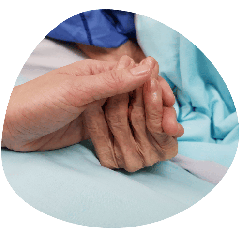 services (7)